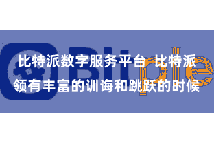 比特派数字服务平台 比特派领有丰富的训诲和跳跃的时候