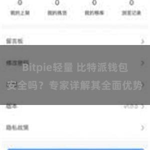 Bitpie轻量 比特派钱包安全吗？专家详解其全面优势