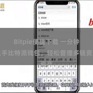 Bitpie便捷下载 一分钟上手比特派钱包，轻松管理多链资产