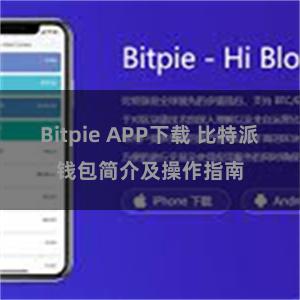 Bitpie APP下载 比特派钱包简介及操作指南