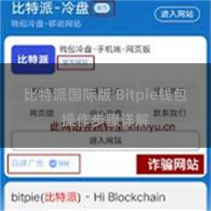 比特派国际版 Bitpie钱包操作步骤详解