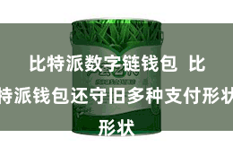 比特派数字链钱包  比特派钱包还守旧多种支付形状