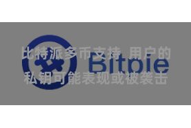 比特派多币支持  用户的私钥可能表现或被袭击