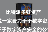 比特派多链资产  而看成一家费力于于数字资产安全的公司