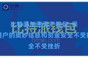 比特派加密资产钱包  保险用户的奥妙信息和资金安全不受挫折