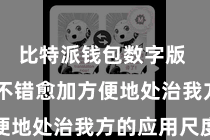 比特派钱包数字版  让用户不错愈加方便地处治我方的应用尺度