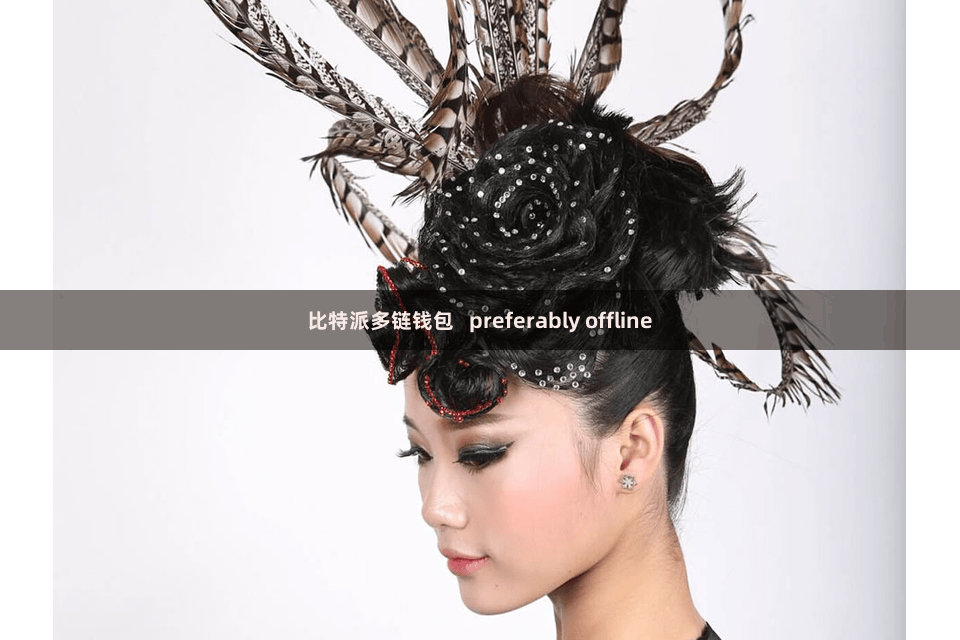 比特派多链钱包   preferably offline