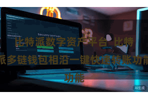比特派数字资产平台  比特派多链钱包相沿一键快速转账功能