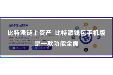 比特派链上资产 比特派钱包手机版是一款功能全面